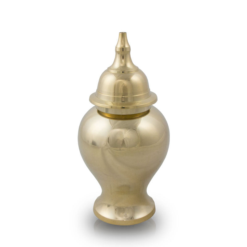 Shiny Brass Pet cremation Urn - Small