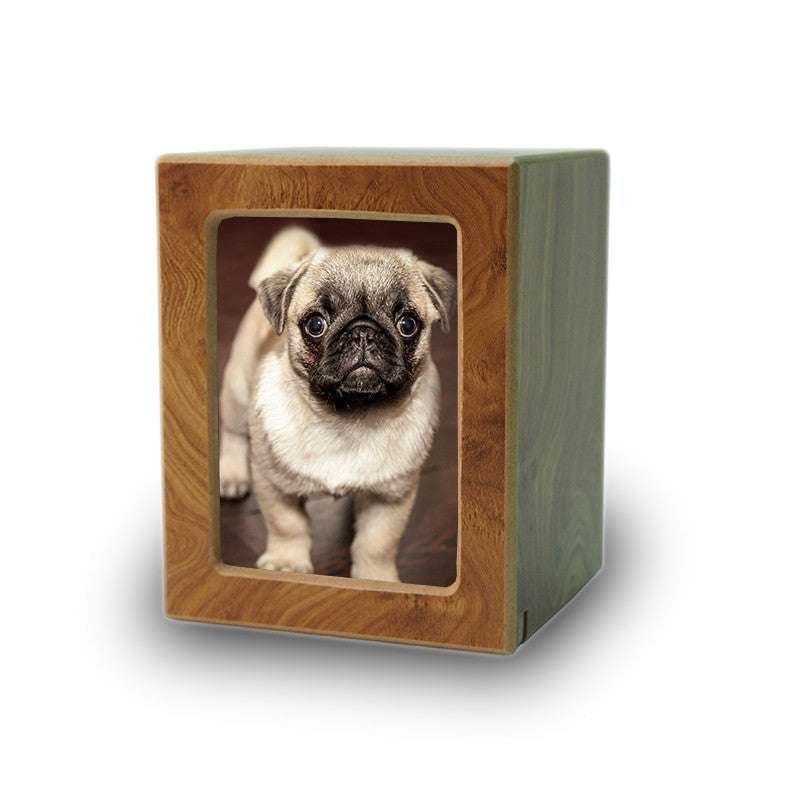 Pet Photo Cremation Urn  honey- Extra Small