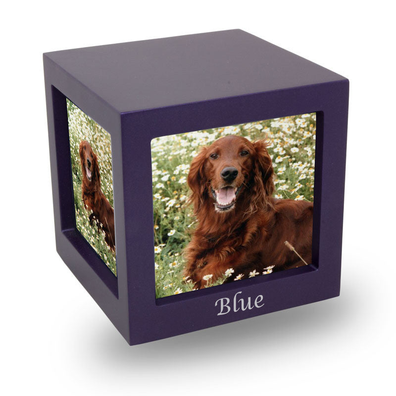 Violet Pet photo Cube Cremation Urn - Medium