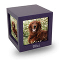 Violet Pet photo Cube Cremation Urn - Medium