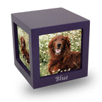 Violet Pet photo Cube Cremation Urn - Medium