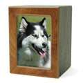 MDF honey Pet Photo Cremation Urn - Medium