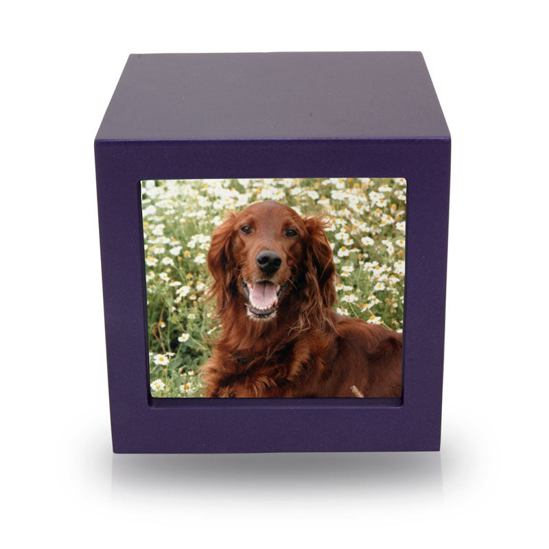cmpc15 85 mdf violet photo cube front