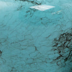 img 4870 e70e9c01 010c 4e08 b186 195f7662e1a5