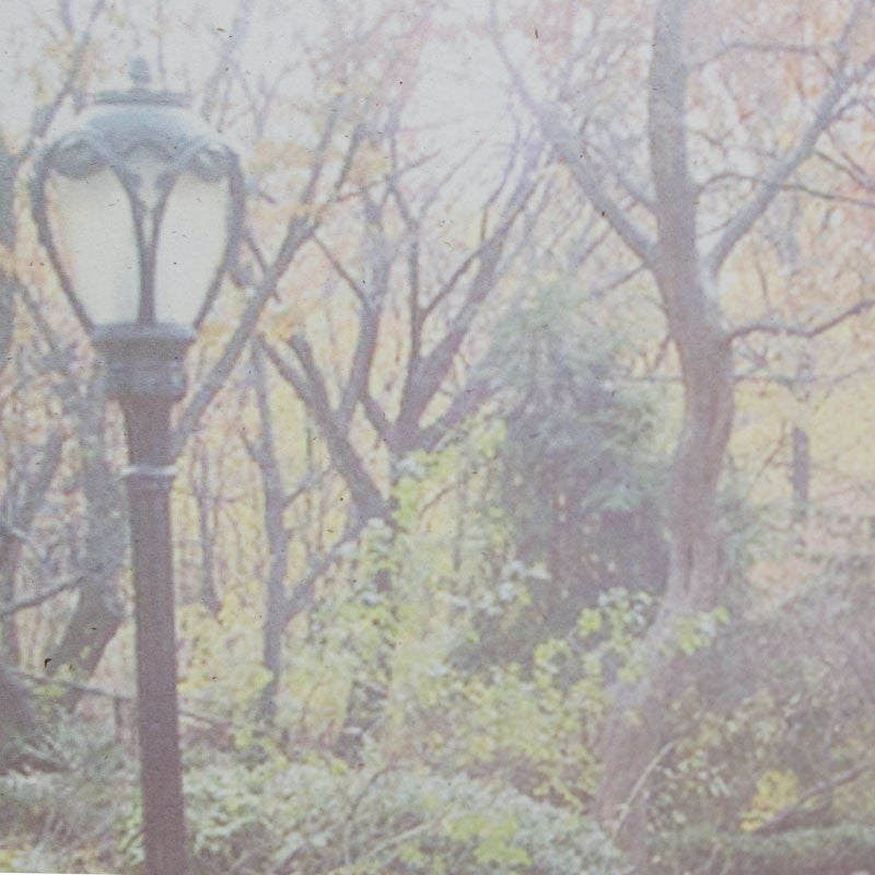 ms111closeup of artwork 9fae01c1 31ac 4637 9c18 129c9fbeff65