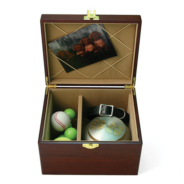 pet chest p filled grande 9822e93a c851 4f35 92f2 2a3ba25e7cff